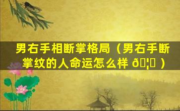 男右手相断掌格局（男右手断掌纹的人命运怎么样 🦉 ）